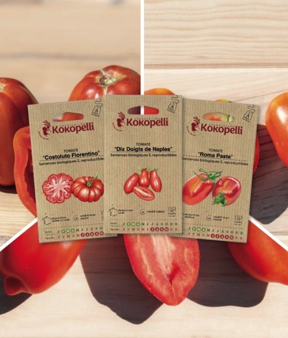 Tomates pour conserves - 3...