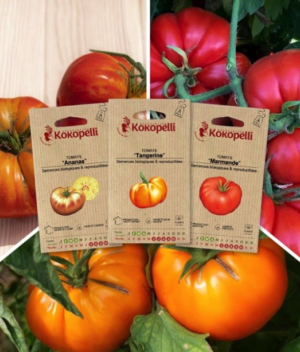 Tomates pour salade - 3...