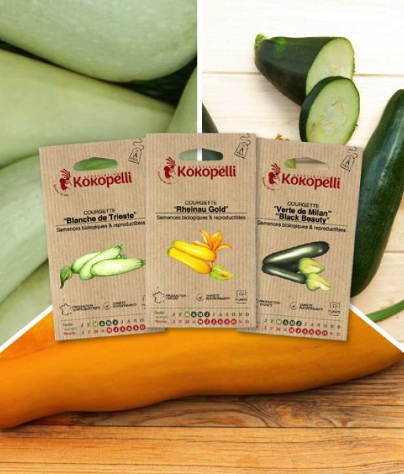 Courgettes Colorées - 3...