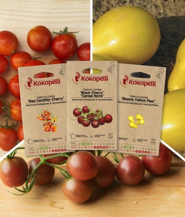 Tomates-cerise apéro - 3...