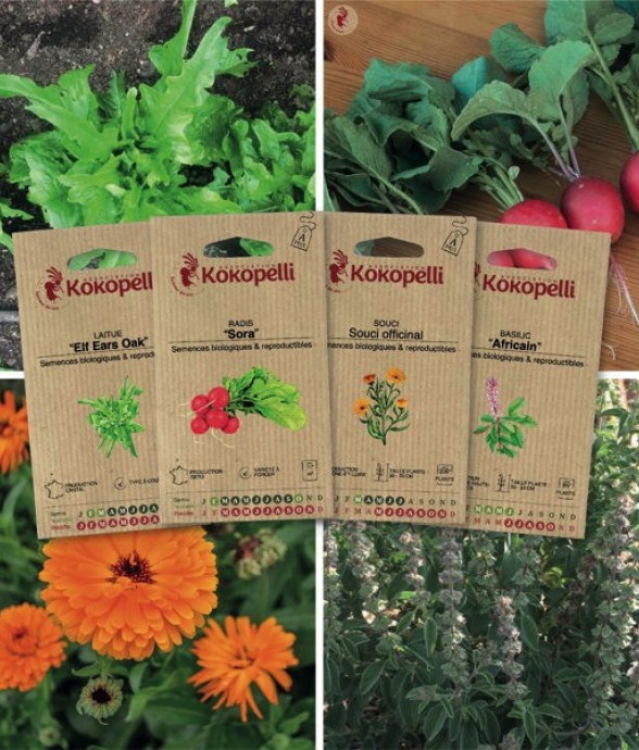 Potager du balcon - 4...