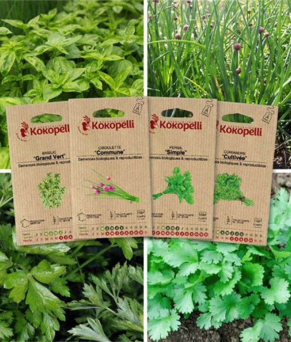Herbes aromatiques - 4...