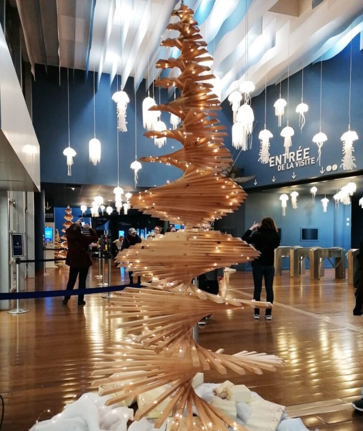 Mon Sapin Woody en bois (300cm)