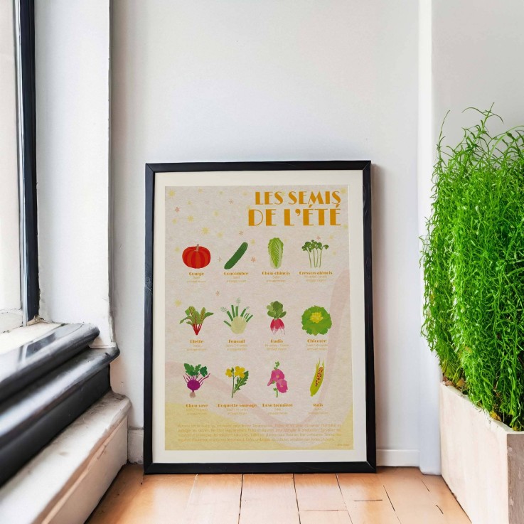 Poster - Les Semis d'Été