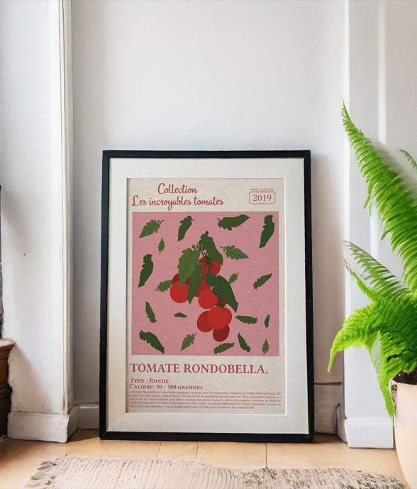 Poster - Tomate Rondobella
