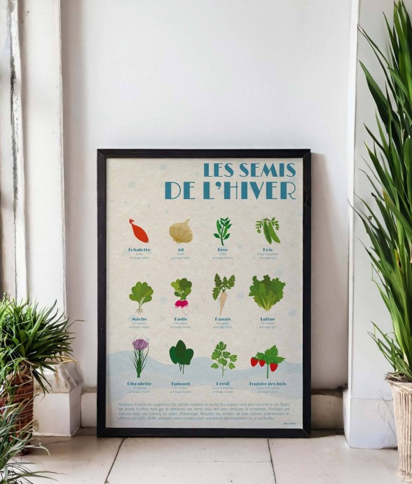 Poster Les Semis d'Hiver