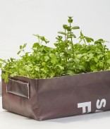 Kit potager urbain mobile prêt à planter - Mélange herbes aromatiques et fleurs comestibles bio