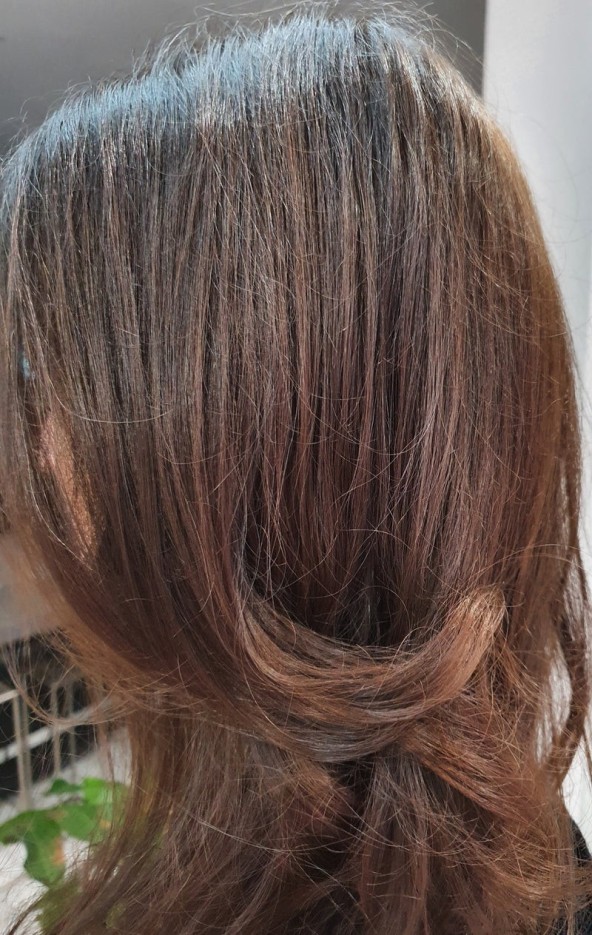 Coloration 100% Végétale Noisette cuivrée (100g)