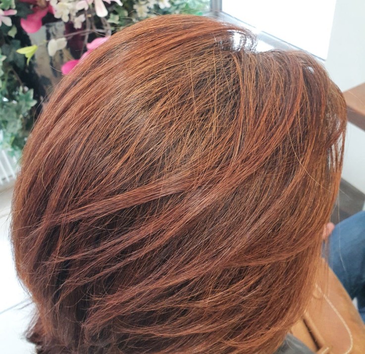 Coloration 100% Végétale Auburn (100g)