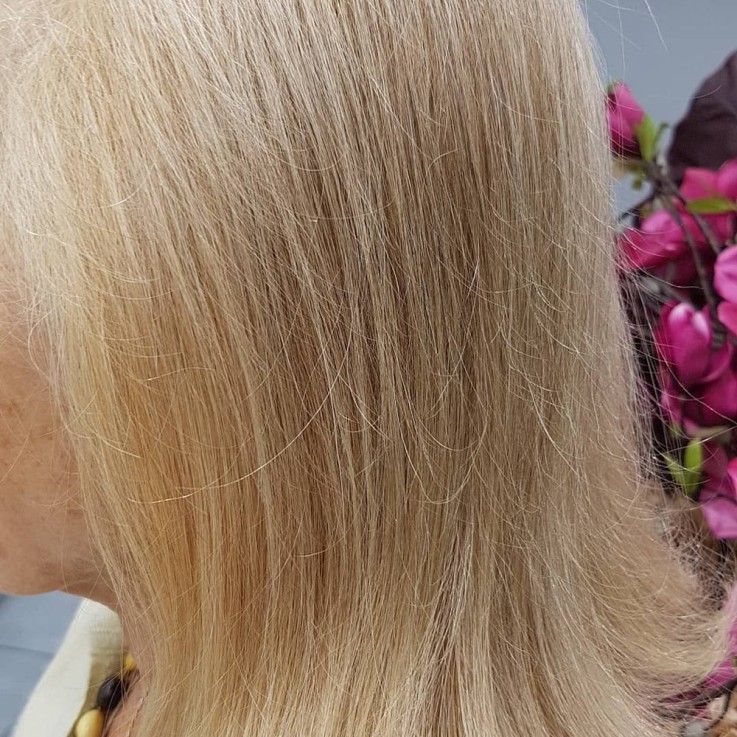 Coloration 100% Végétale Blond clair naturel (100g)
