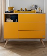 Jaune Mimosa