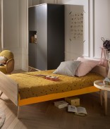 Jaune Mimosa
