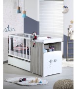 Chêne silex, Étoiles