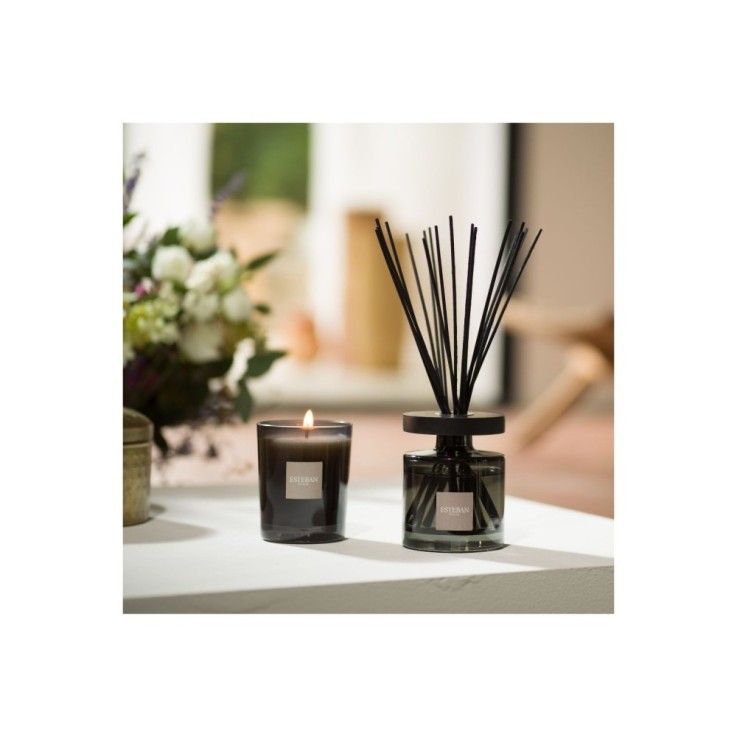 Bouquet parfumé Ellipse figue noire 200ml en verre
