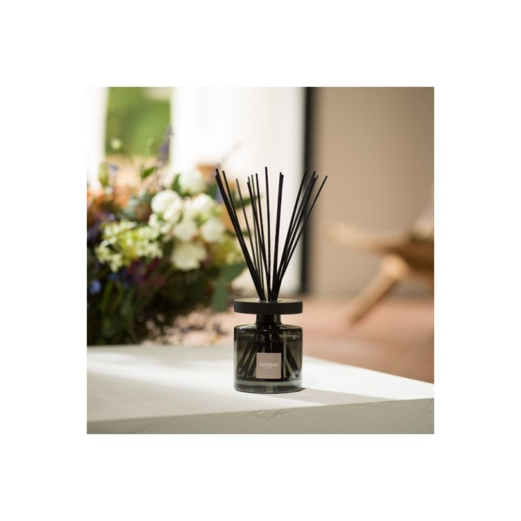 Bouquet parfumé Ellipse figue noire 200ml en verre