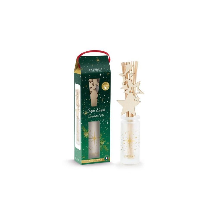 Bouquet Sapin exquis 100ml en verre