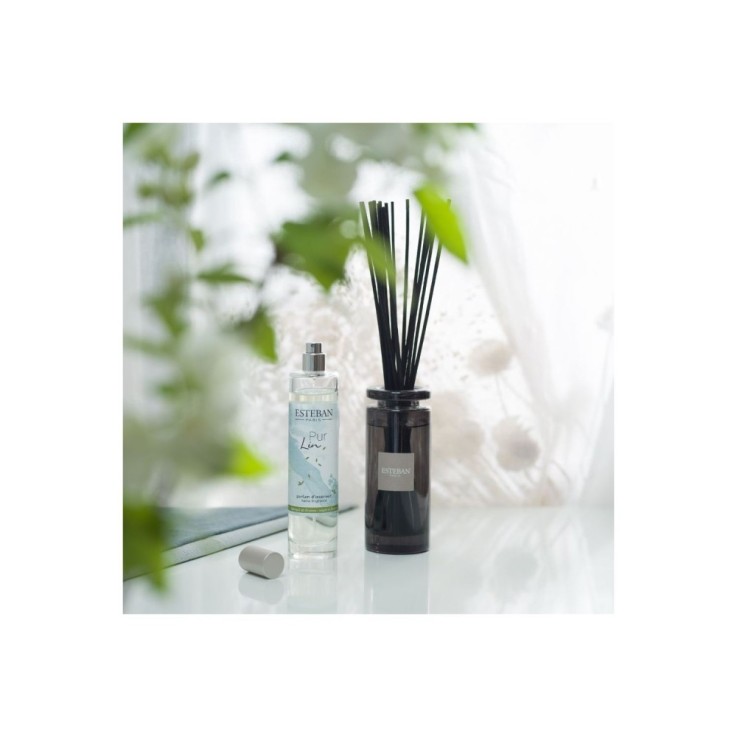 Bouquet parfumé initial Pur lin 100 ml en verre