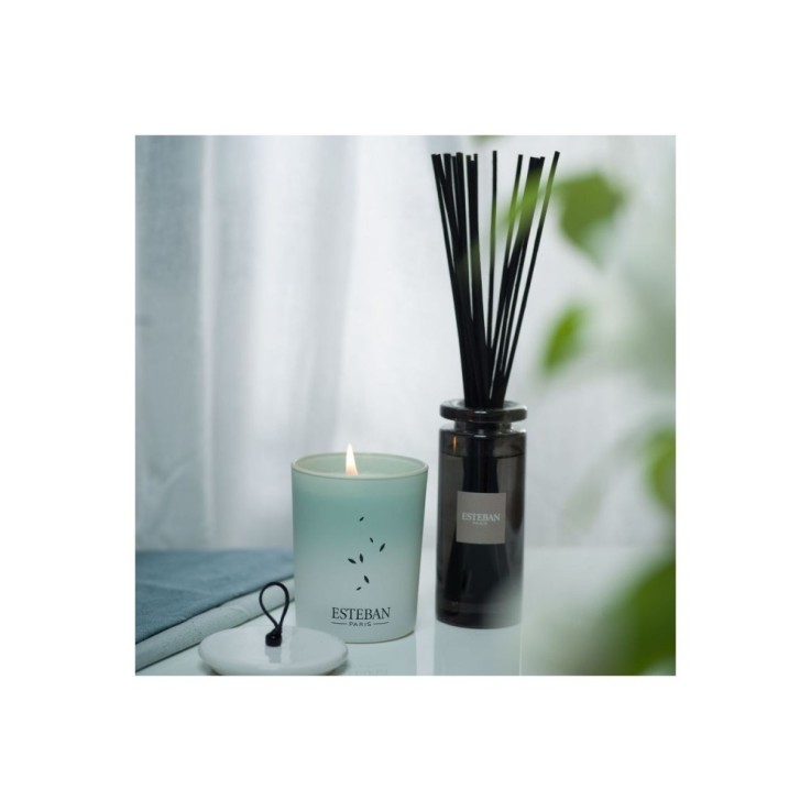 Bouquet parfumé initial Pur lin 100 ml en verre