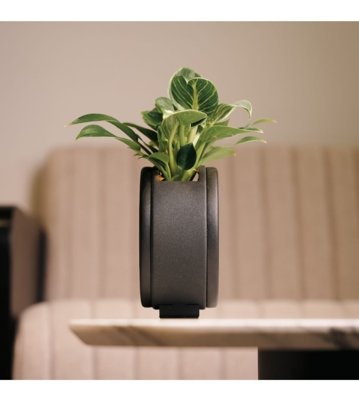 Cache-pot rond de table