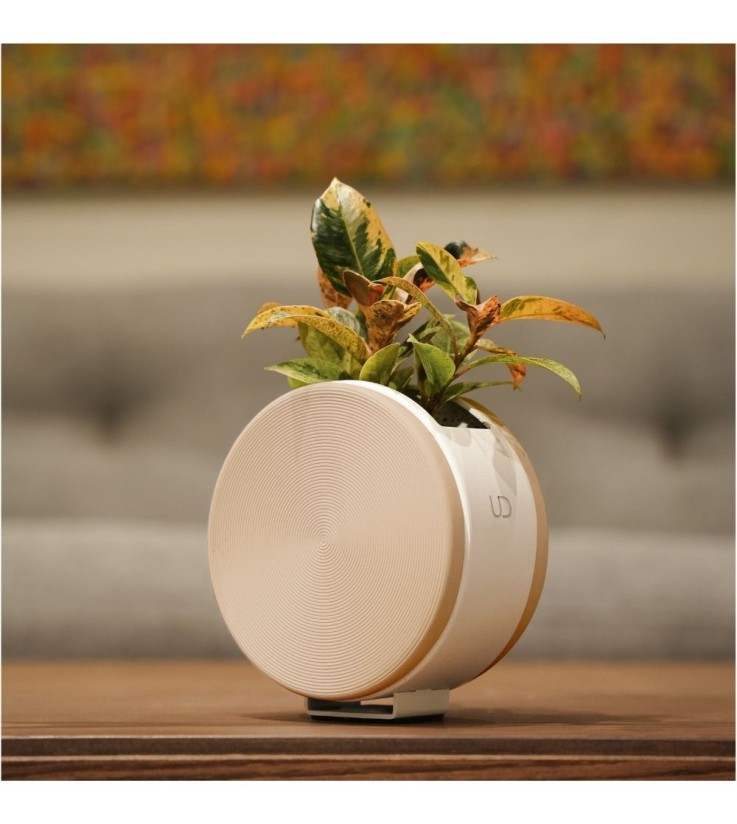 Cache-pot rond de table