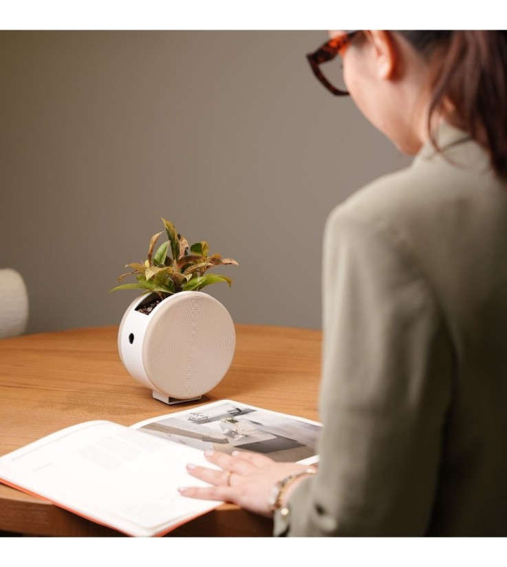 Cache-pot rond de table