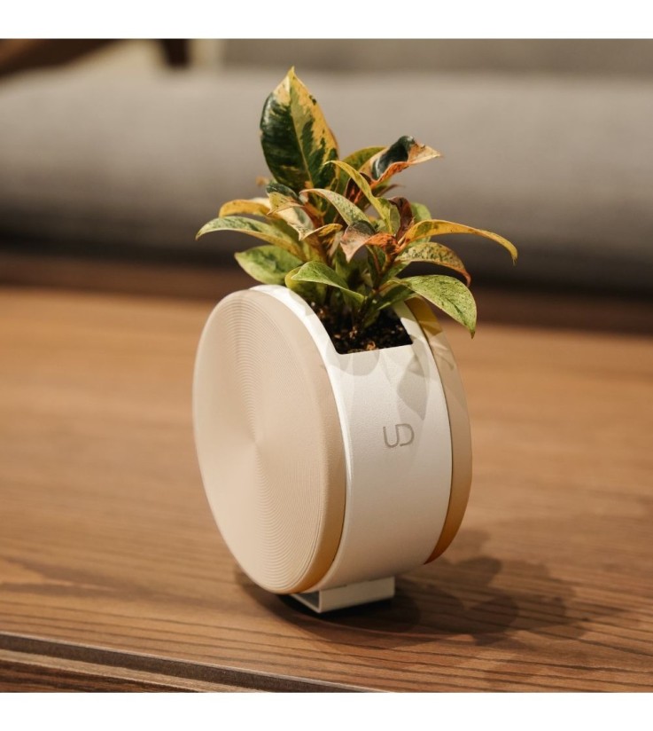 Cache-pot rond de table
