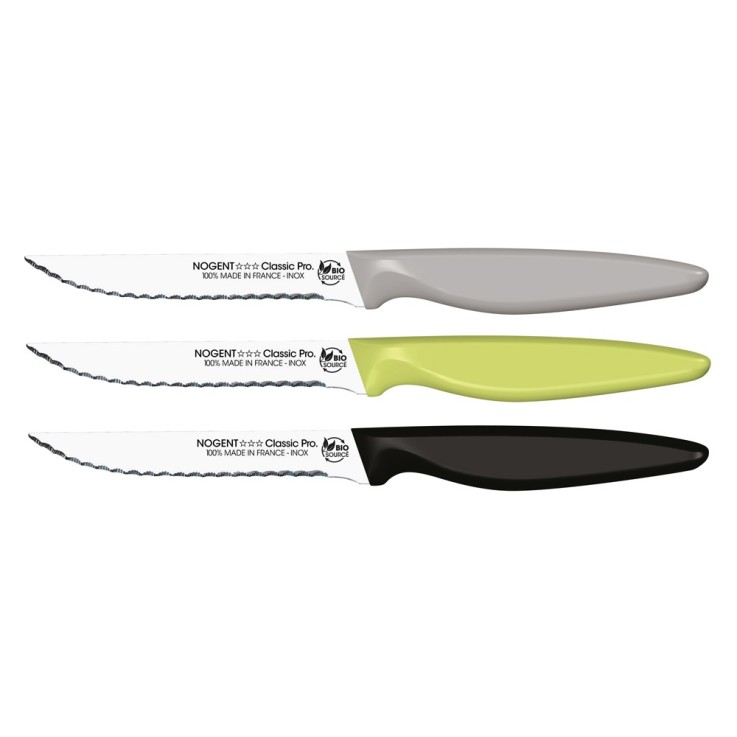 Couteau office lame cranté 11 cm (1 modèle aléatoire) en inox
