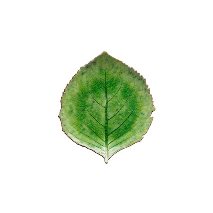 Feuille Hortensia Riviera