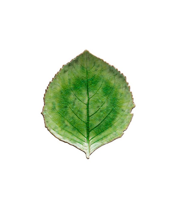 Feuille Hortensia Riviera