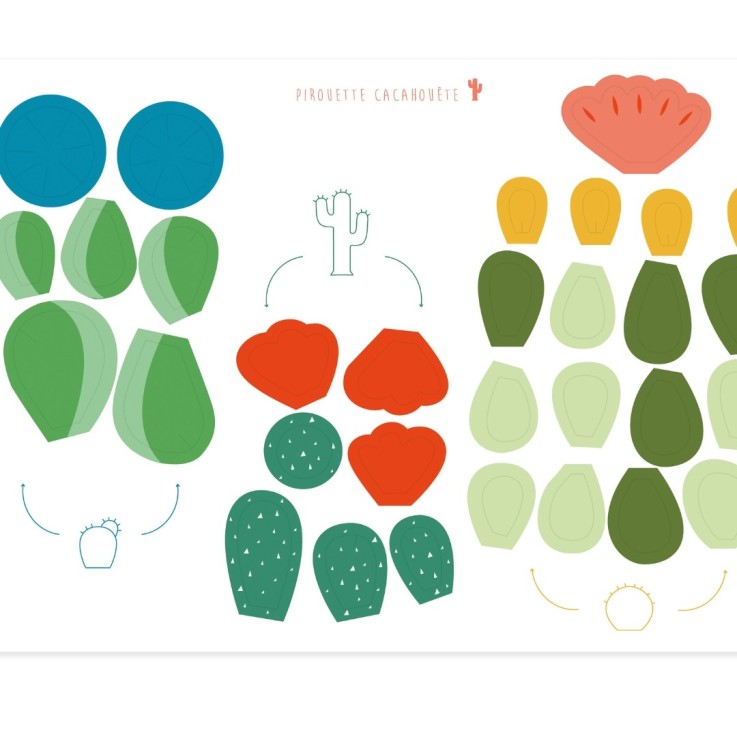Mes cactus colorés