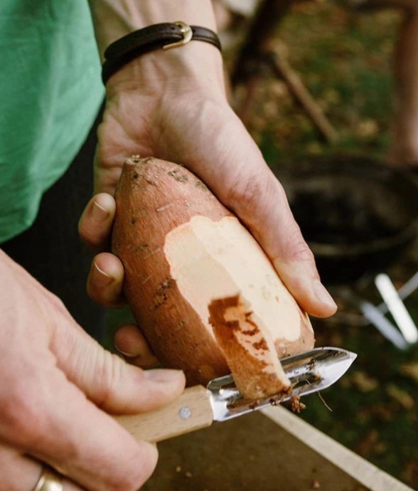 Couteau éplucheur n°115 OPINEL