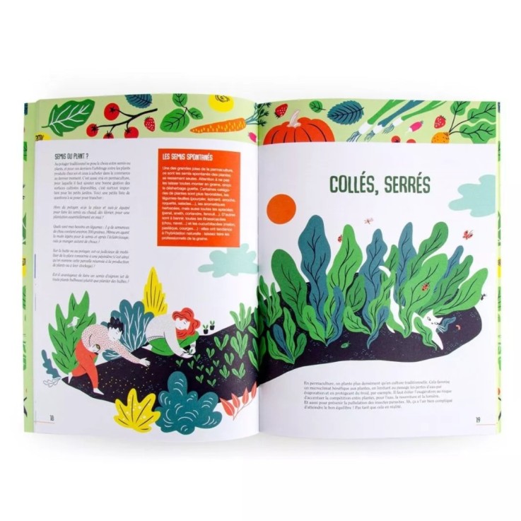 12 sachets de graines pour jaridner en permaculture