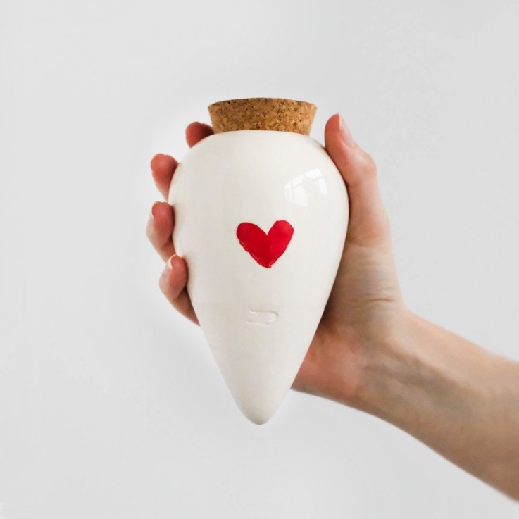 Olla Diffuseur d'eau naturel pour plantes