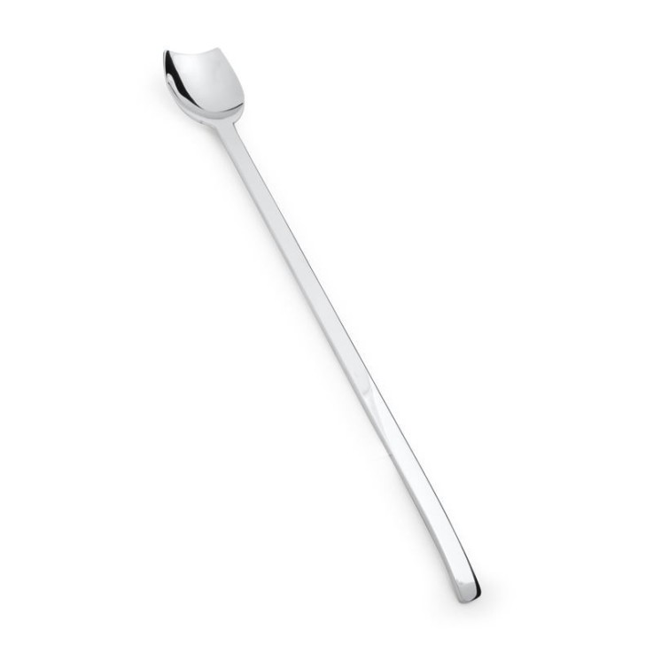 Coffret 6 cuilleres glace longue spiga en inox