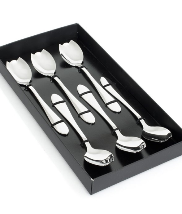 Coffret 6 cuilleres melon...