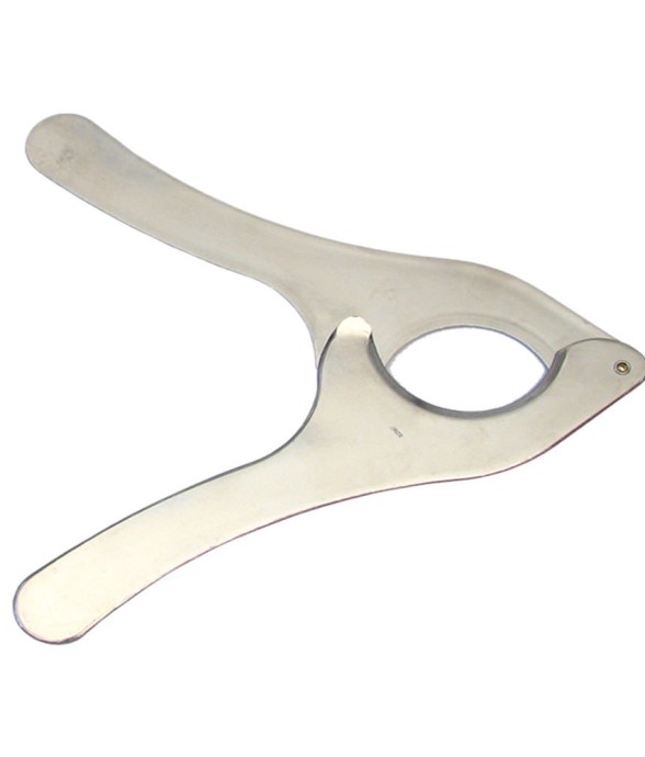 Coupe oursin en inox