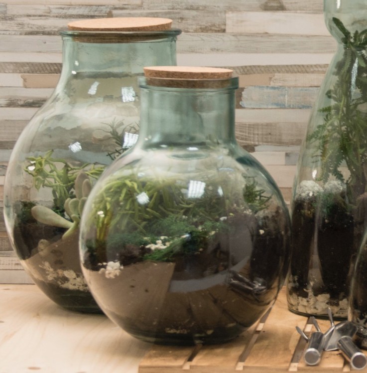 Terrarium et outils Aran 31 cm en verre recyclé
