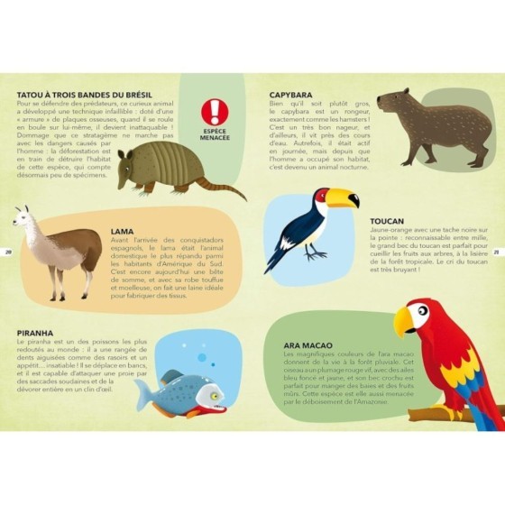 Les Espèces Menacées - Mini