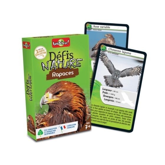 Défis nature : rapaces