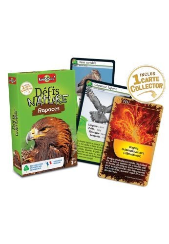 Défis nature : rapaces