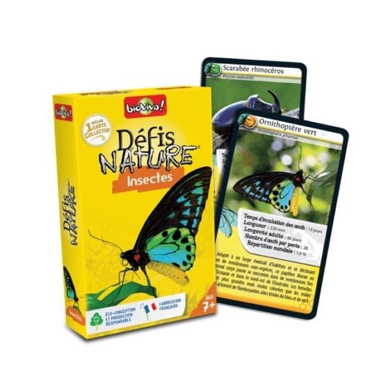 Défis nature : les insectes