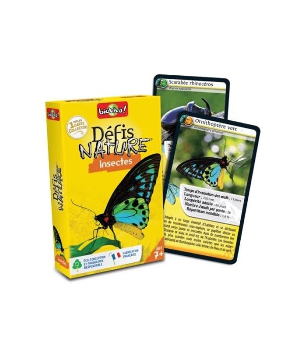 Défis nature : les insectes