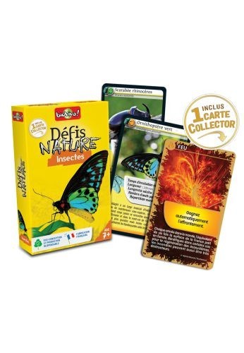 Défis nature : les insectes