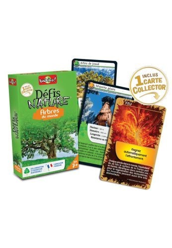Défis nature : arbre du monde