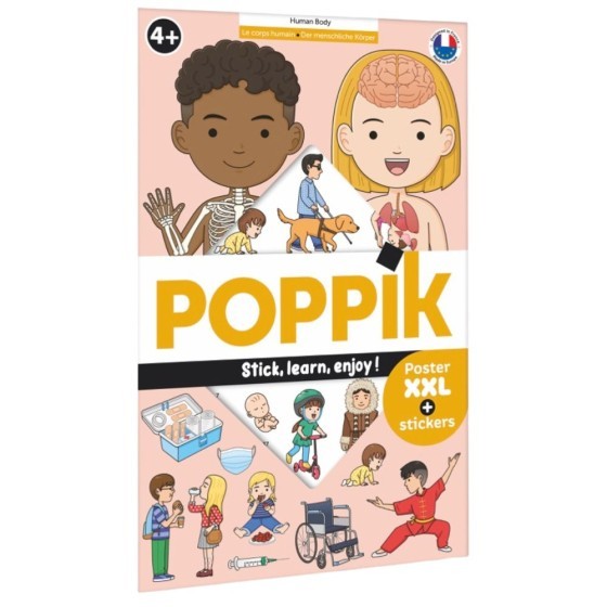 Poster découverte avec stickers Corps humain