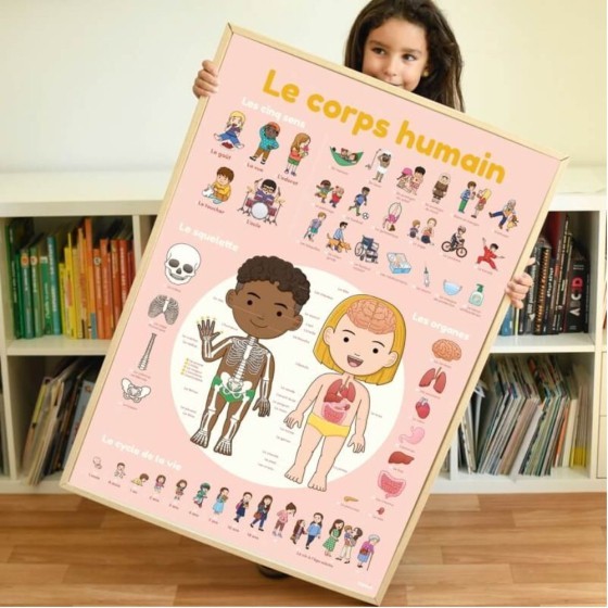 Poster découverte avec stickers Corps humain