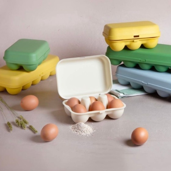Boîte 10 oeufs coquille Recyclée