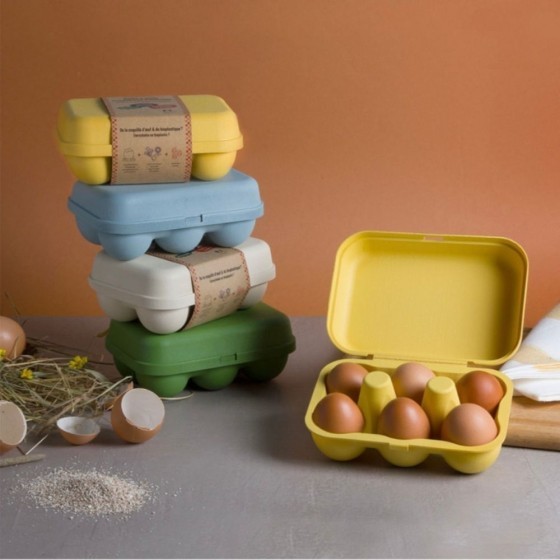 Boîte 10 oeufs coquille Recyclée