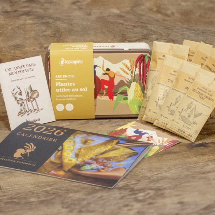 Mélange de graines Arc en ciel bio - Plantes utiles au sol- Graines bio à semer