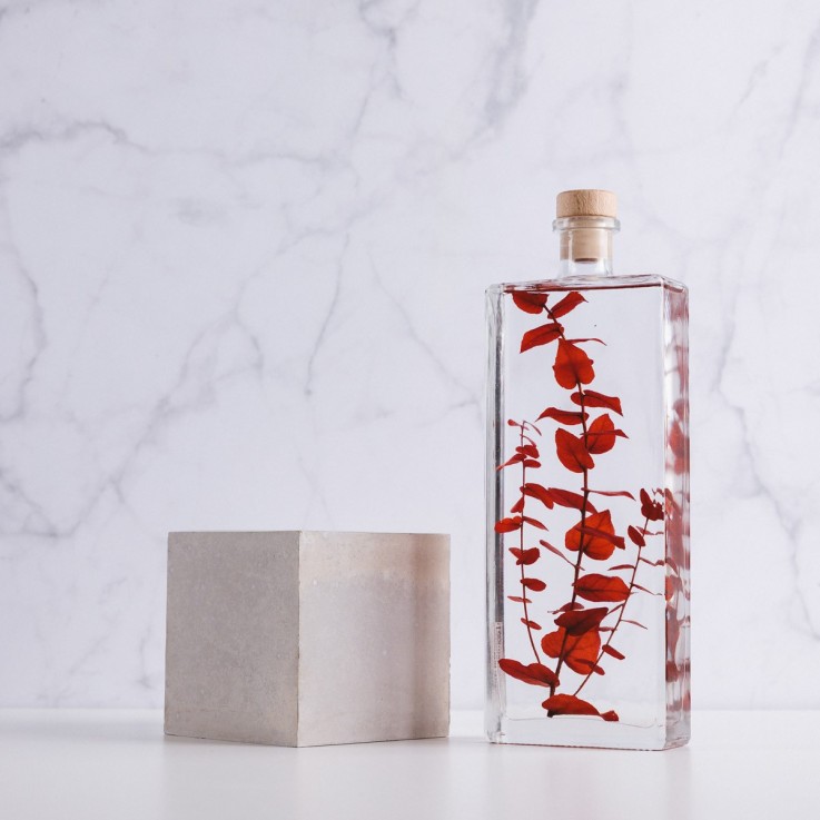 Herbarium fait main Plante immergée Eucalyptus rouge